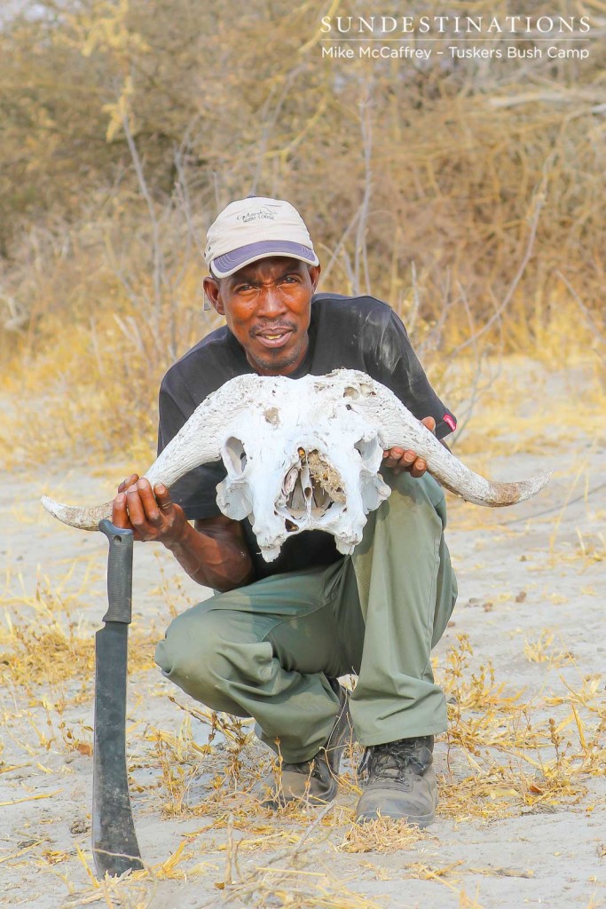 Tracking at Tuskers Bush Camp