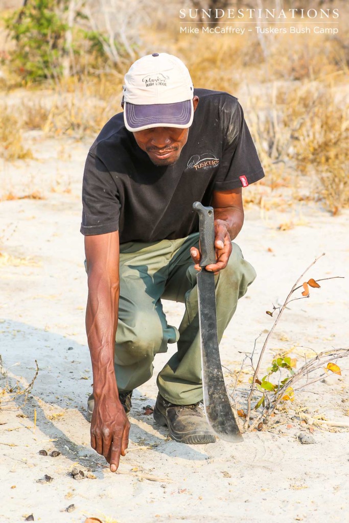 Tracking at Tuskers Bush Camp