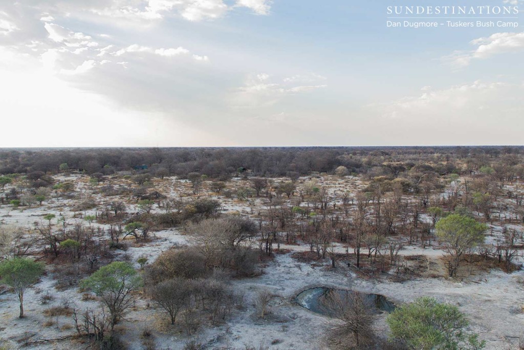 The activity at this pan in front of Tuskers is astonishing