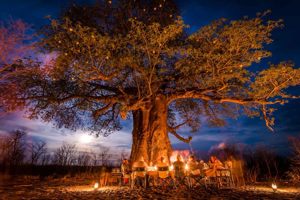Special baobab bush dinner under a flowering baobab tree in the Kwatale Conservancy