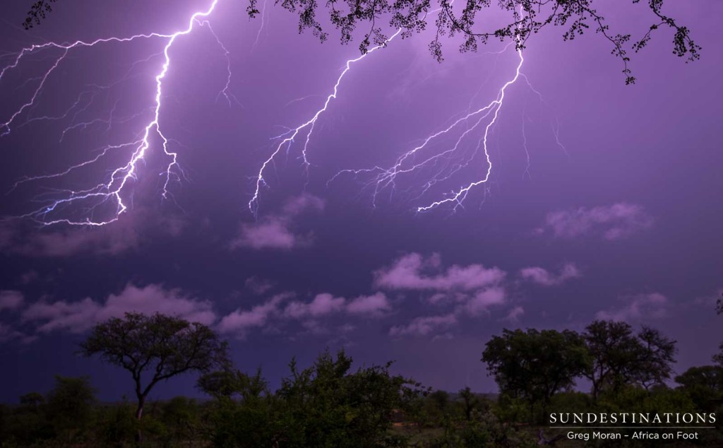 Late night lightning storms electrify the night skies