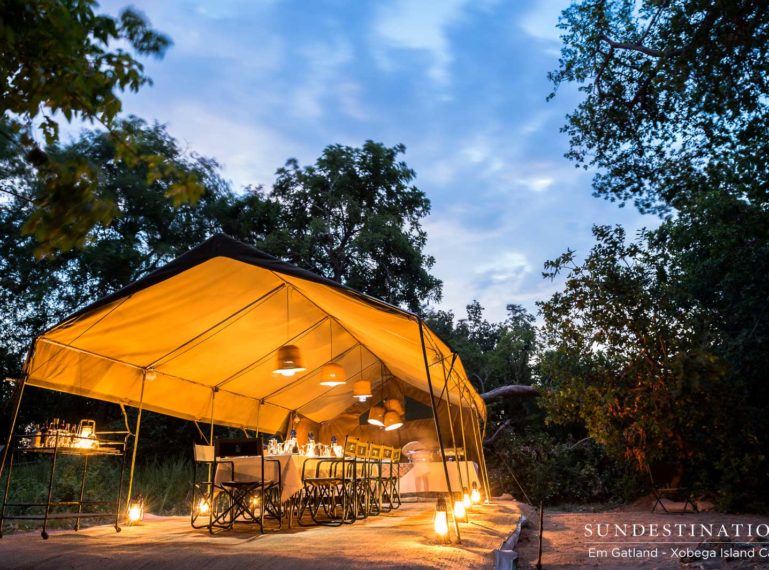 A New Look for Xobega Island Camp, Okavango Delta