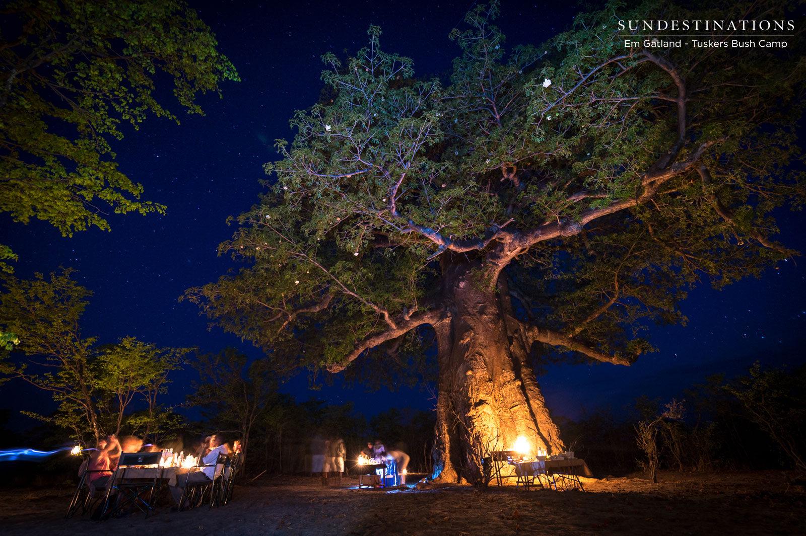 Tuskers Baobab at Night