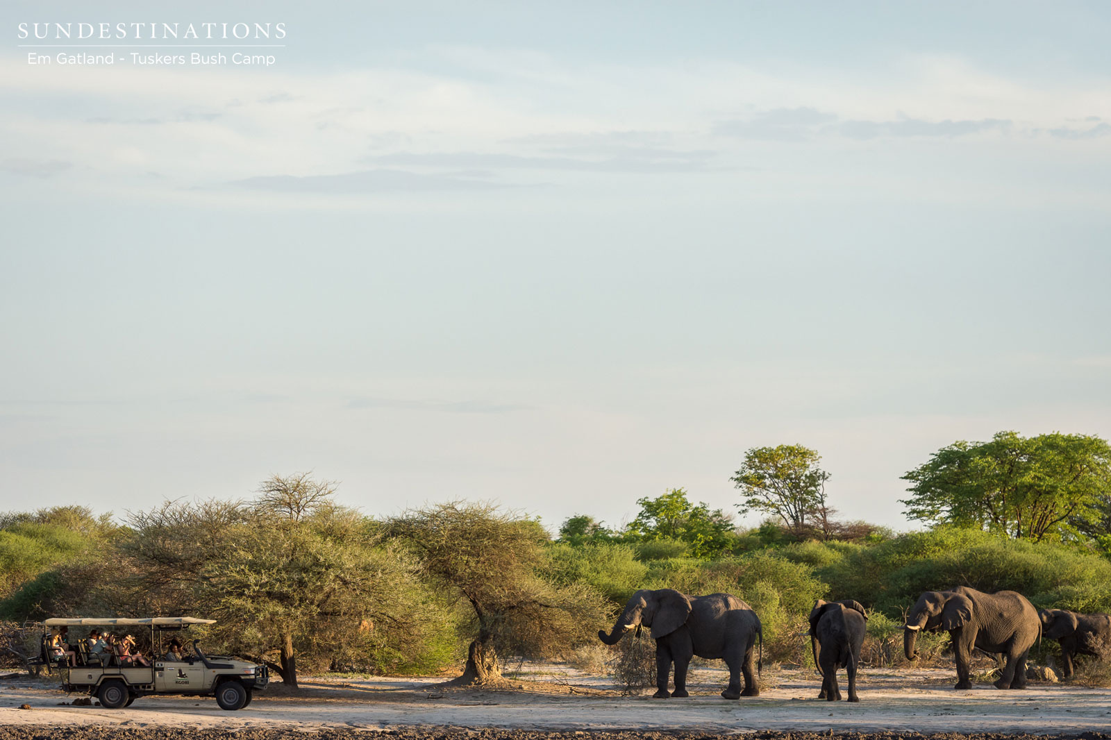 Tuskers Game Drive