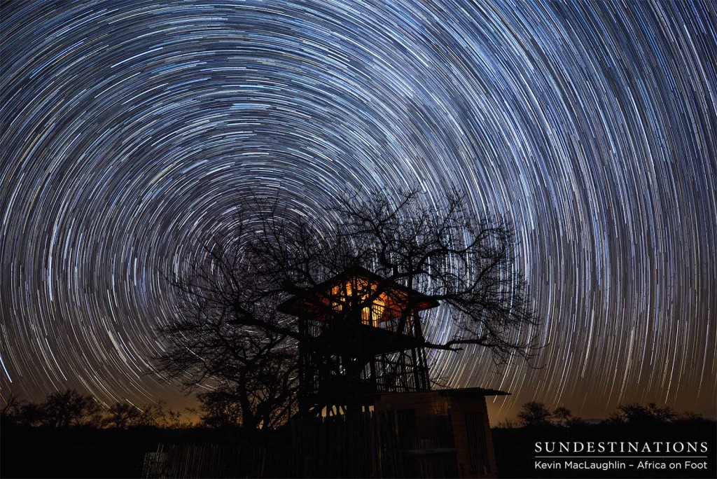 The Treehouse at the centre of the galaxy