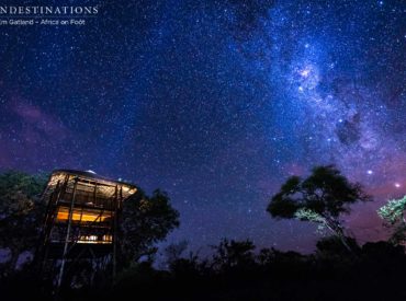 Time might seem like it’s flying as we enter the second month of 2017, but the timelessness of the bush slows us right back down and reminds us that every moment holds something special. The stars come up every night, but so seldom do we take the time to glance up and gaze at it. […]