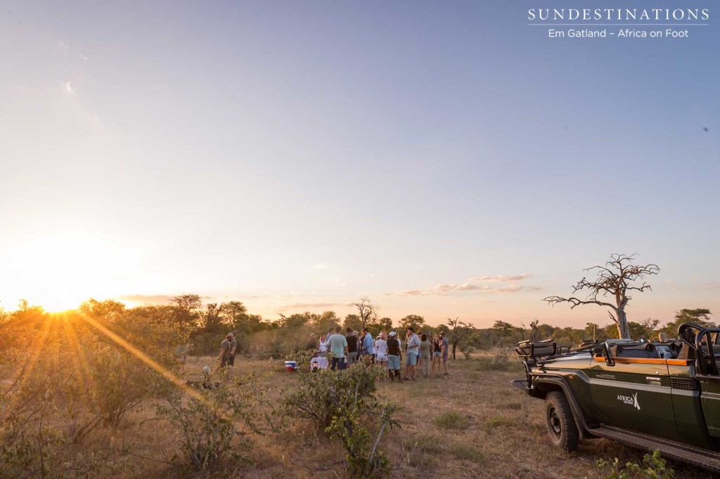 Gin Tasting on Safari in Klaserie