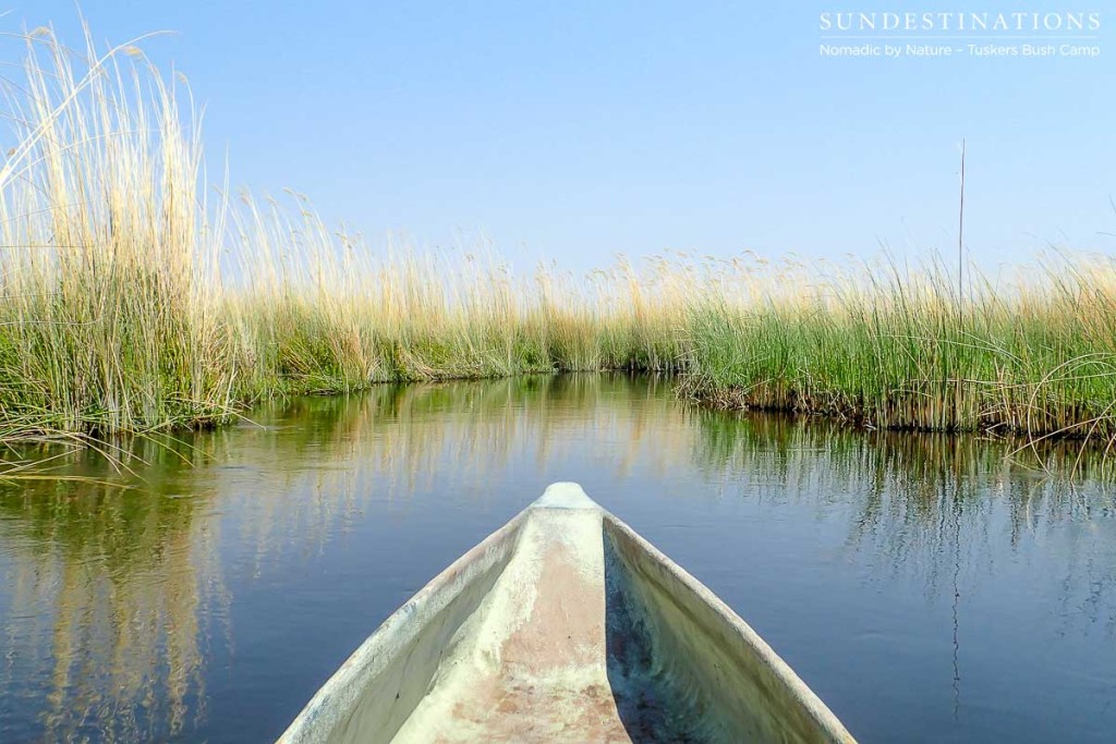 Moremi Game Reserve Self Drive from Tuskers Bush Camp