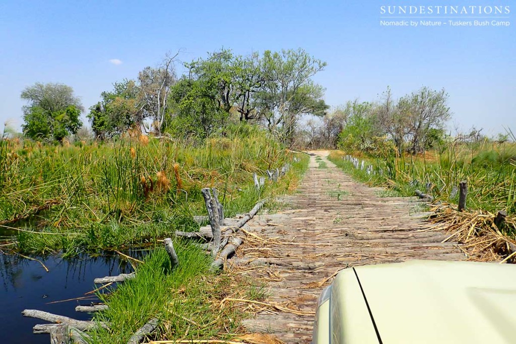 Moremi Game Reserve Self Drive from Tuskers Bush Camp