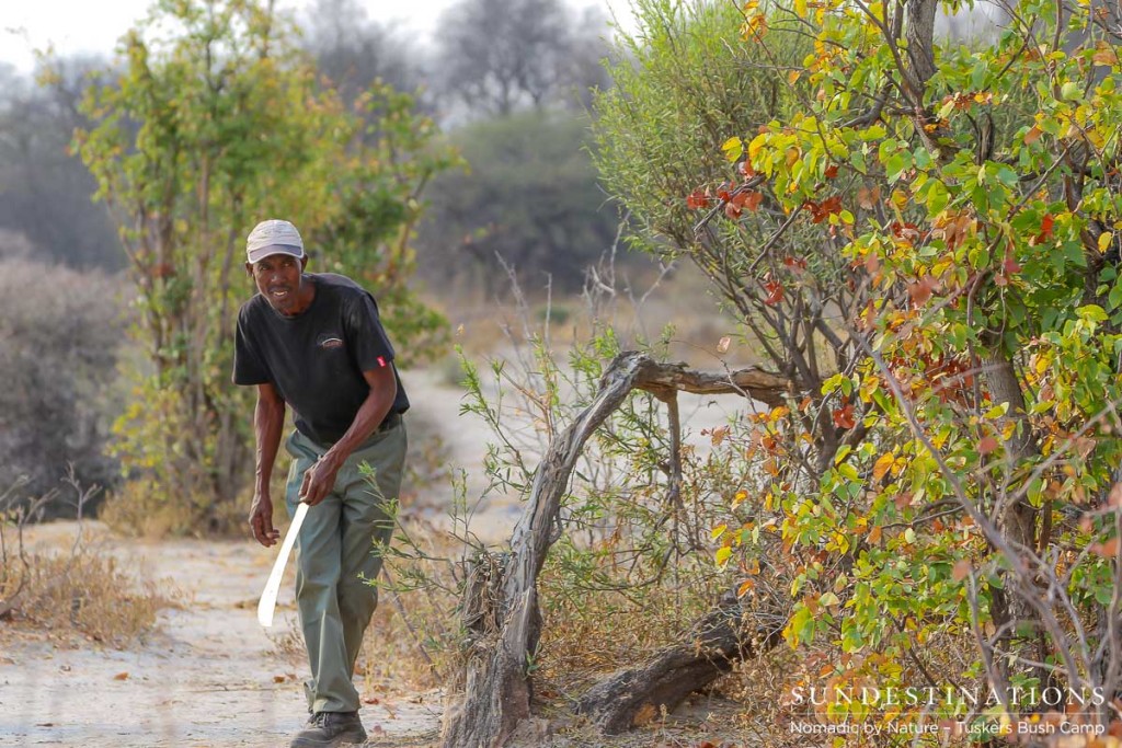 Walking safari at Tuskers Bush Camp