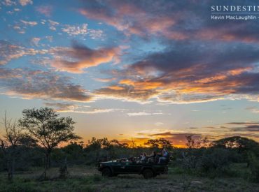 The endless striking hues of the bushveld creates a palette of colour that leaves you yearning for more of the safari lifestyle. Languid days are spent exploring the sometimes arid and occasionally lush bushveld, while nights are spent huddled around campfires under star spangled skies. Angles, texture, reflections, depth and moods can all be captured […]