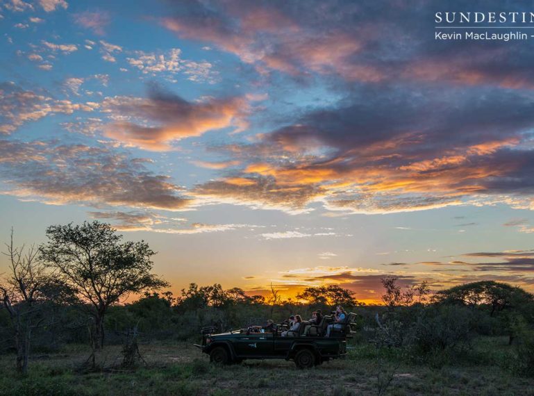 Bovids, Pachyderms and the Beauty of the Bushveld