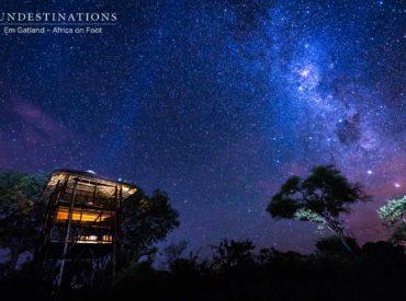 Charcoal skies dotted with glimmering crystal stars hover over the mysterious landscape below, casting a sense of peace and solitude to all those gazing into the abyss above. The eerie stillness and absolute silence of the surrounding bushveld instills a sense of wonder into the those who have a kinship with nature. And for those […]