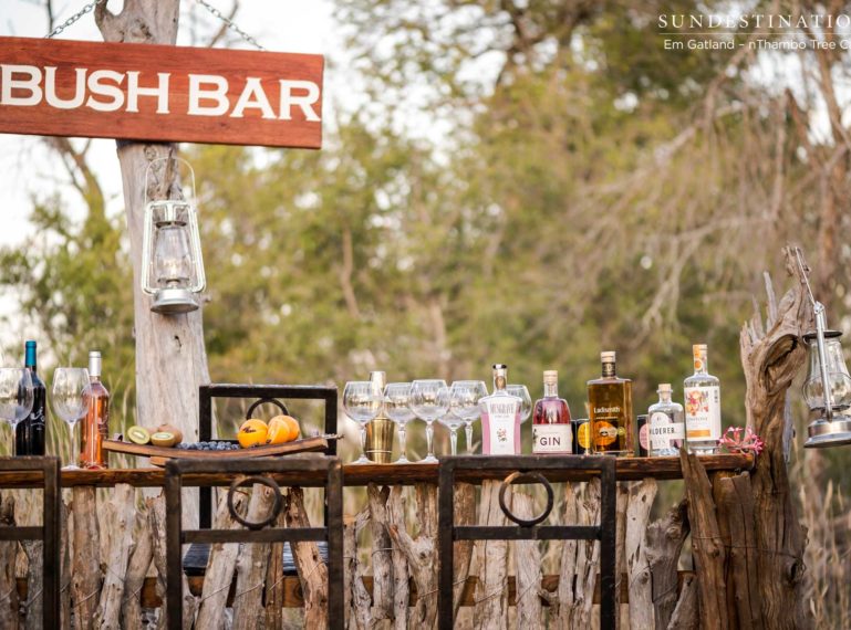 #BackAtTheBar : We’ve Just Built a Bush Bar in the Klaserie