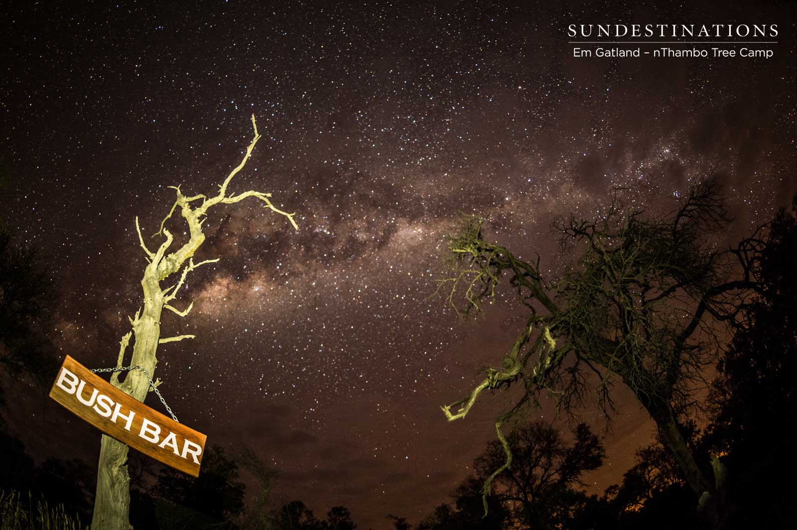 Bush Bar Night Sky