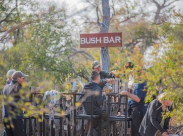 The natural soft hazy light of a typical Kruger morning gently complements the blinding turquoise of the sky. While the sun slowly emerges from the horizon, the diurnal creatures begin to rustle and our team works hard at creating the perfect setting for a breakfast at the Bush Bar. Nothing brings people together like classic, simple cuisine […]