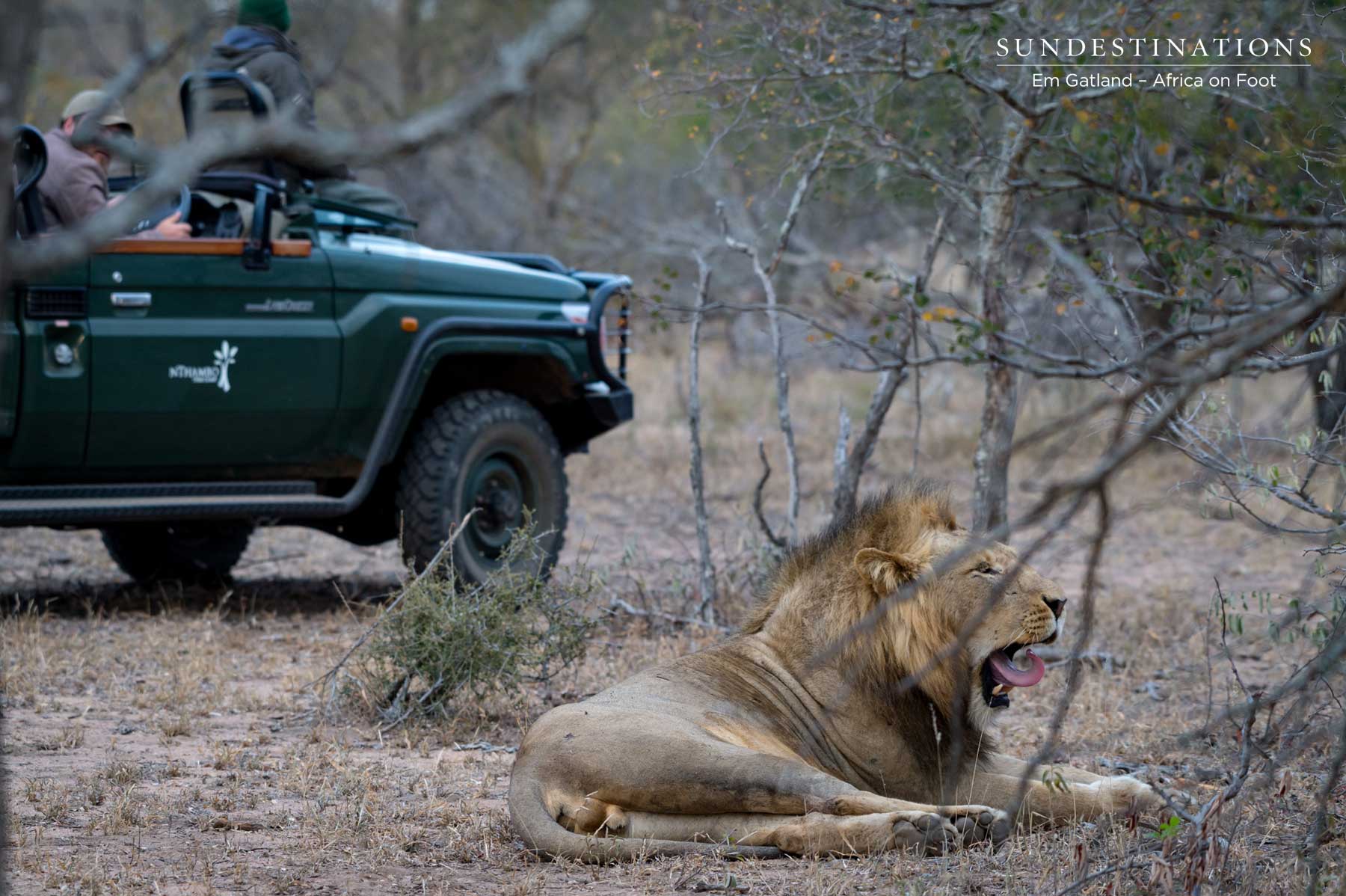 Mbiri Male with Vehicle