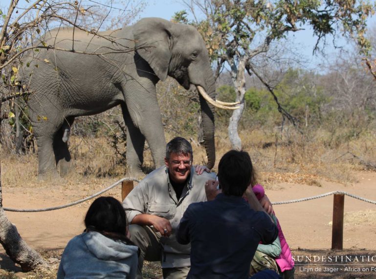 Relief Camp Manager Photographs Elephant at Pool in Camp