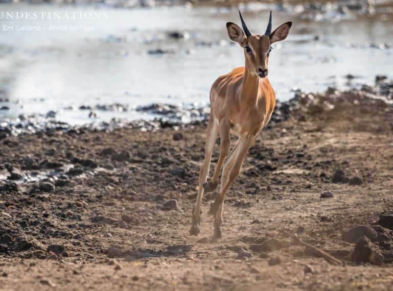 Week in Pics : The Contrasting Drama of the Natural World