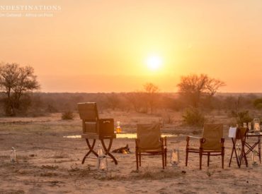 Imagine a sophisticated honeymoon sundowner experience that marries harmonious scenic surrounds with bushveld elegance. Our latest added value safari experience lets you indulge in a unique, pre-arranged sundowner escape with a touch of safari style that lends itself to an atmosphere of a bygone era – where things were traditional and classic. This is the ultimate intimate […]