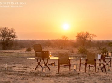 Imagine a sophisticated honeymoon sundowner experience that marries harmonious scenic surrounds with bushveld elegance. Our latest added value safari experience lets you indulge in a unique, pre-arranged sundowner escape with a touch of safari style that lends itself to an atmosphere of a bygone era – where things were traditional and classic. This is the ultimate intimate […]