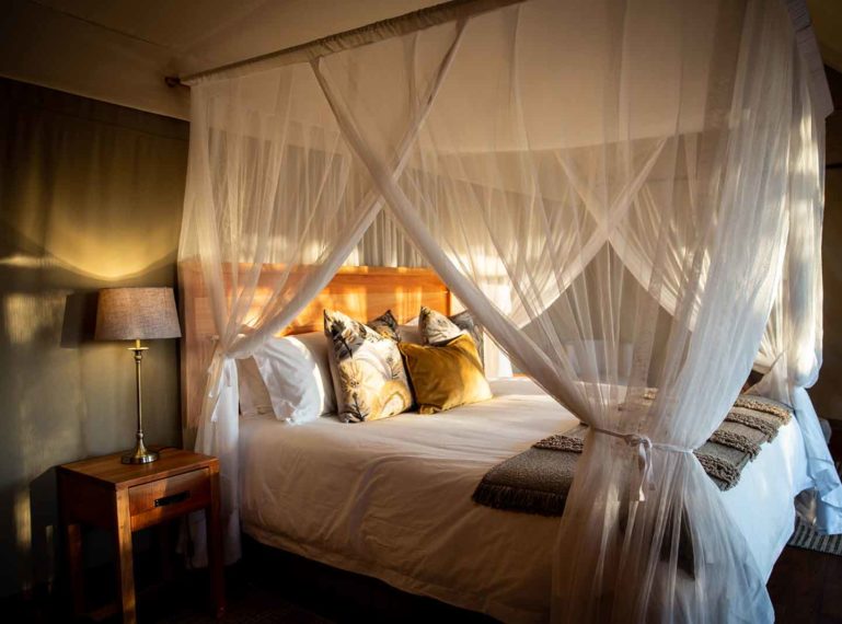 Original Safari Accommodation at Mankwe Tented Retreat