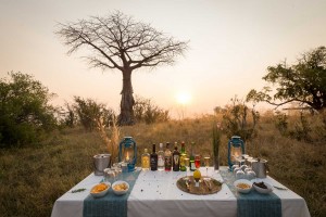 Baobab Sunset Session : Image taken by Em Gatland