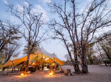 This week we see the arrival of a new lodge in Botswana, and the departure of the arid season. Greenery is sprouting and forcing its way through the bushveld, and there’s new life across all our reserves. Our team in the Klaserie have been upskilling themselves when it comes to creating safari cocktails, and our […]