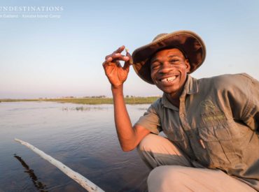 There are numerous reasons to go on safari in the The Okavango Delta.  The high concentration of game, the remoteness, the mind-blowing scenery, the scarcity of tourists and the friendly locals are just a few reasons to head to Africa’s gleaming water paradise. The Okavango Delta is actually is the world’s largest inland delta comprising an intricate network of […]