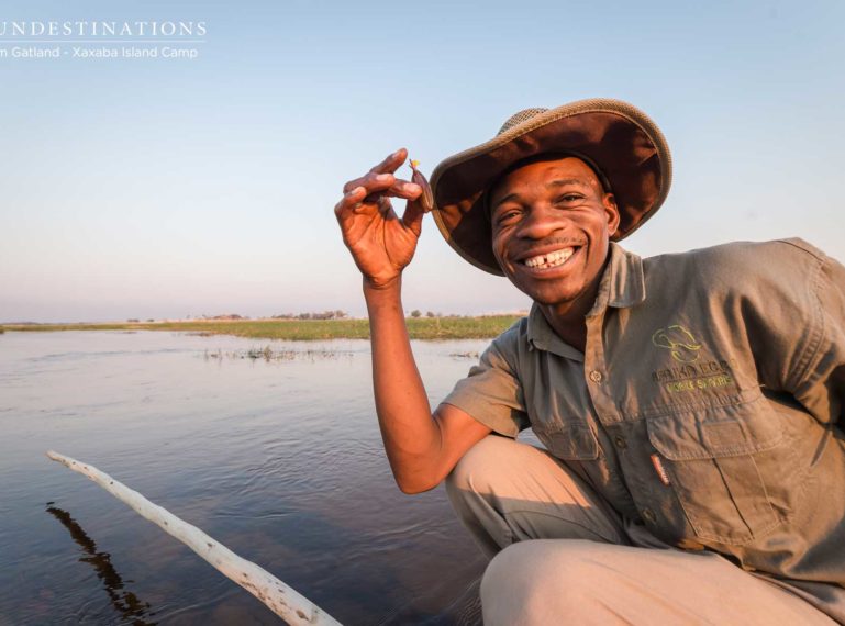 Why Choose the Okavango Delta as a Safari Destination?