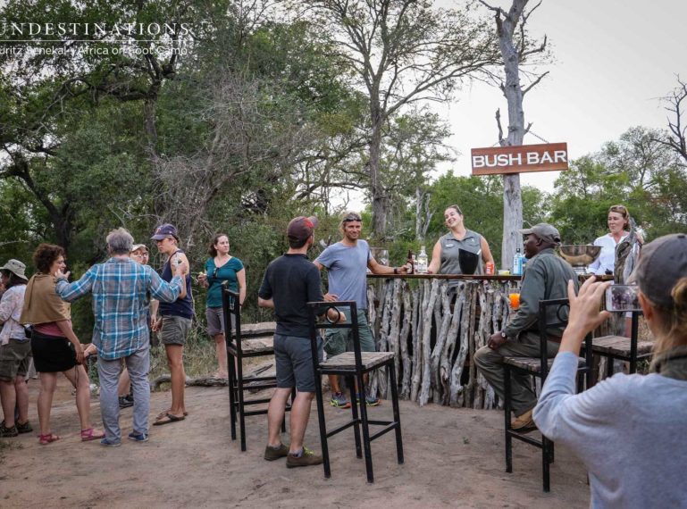 The Bush Bar : Beat of the Bushveld