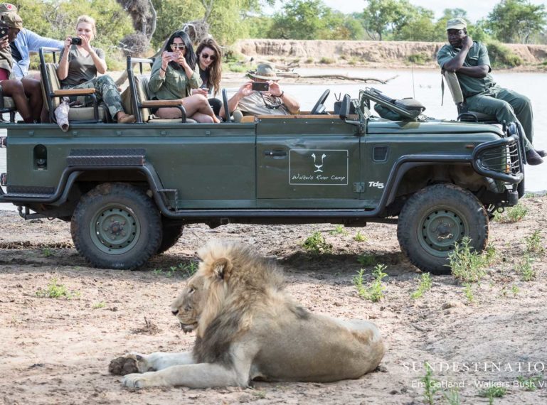 #TalesFromTimbavati : Observing the Mbiri Male Lions Relaxing at a Waterhole