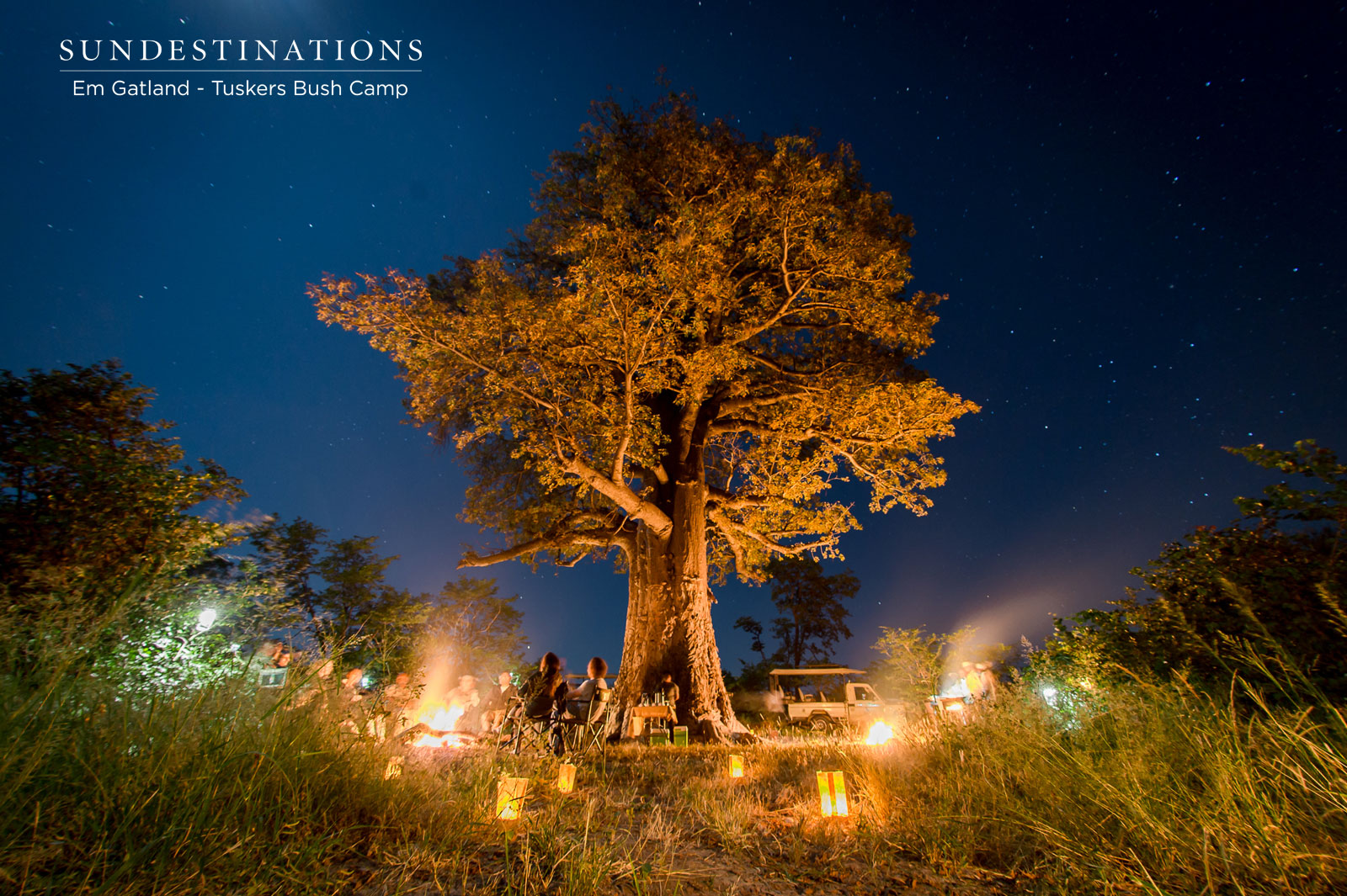 Dinner Under the Baobab at Tuskers Bush Camp