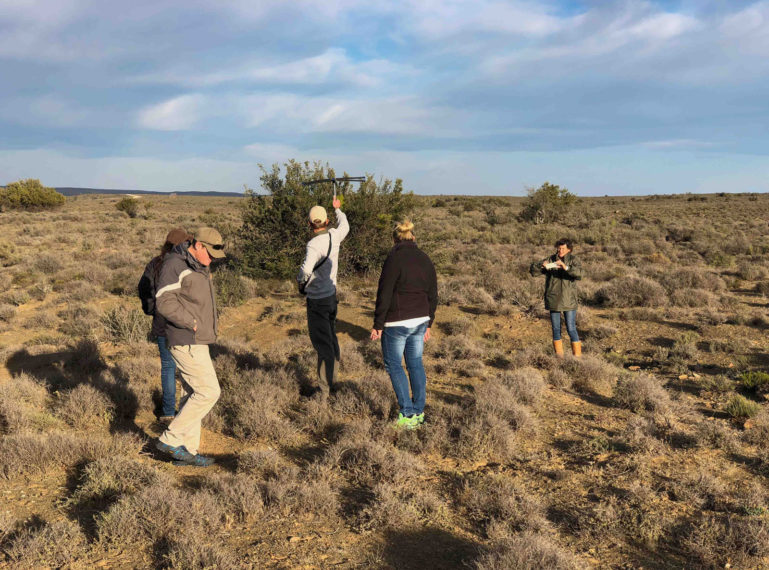 Cheetah Project (ASHIA and EWT) : Observing Cheetah