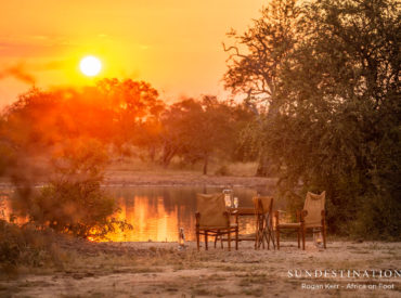 The week before last we enjoyed a surfeit of leopard sightings at our camps and lodges. Last week the leopard sightings dissipated, and our powerful predatory lions stole the limelight. The bushveld is thinning out and the soft velvety greens are slowly giving way to crunchy khakis. Autumn is barging through and soon we’ll be in the […]