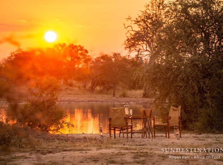 The Week in Pictures : Orange You Glad We Love Sunsets?