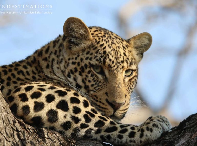 Week in Pictures : Change of Season in Kruger