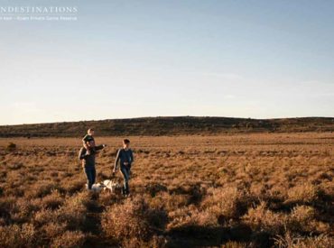 Pet-friendly destinations are few and far between, and it’s always hard leaving your furry friends at home when you go on holiday. But at Roam, everyone’s welcome, including Rover. What’s better than visiting the picturesque plains and undulating hills of Roam Private Game Reserve in the Great Karoo? Well, visiting Roam with your pet by […]