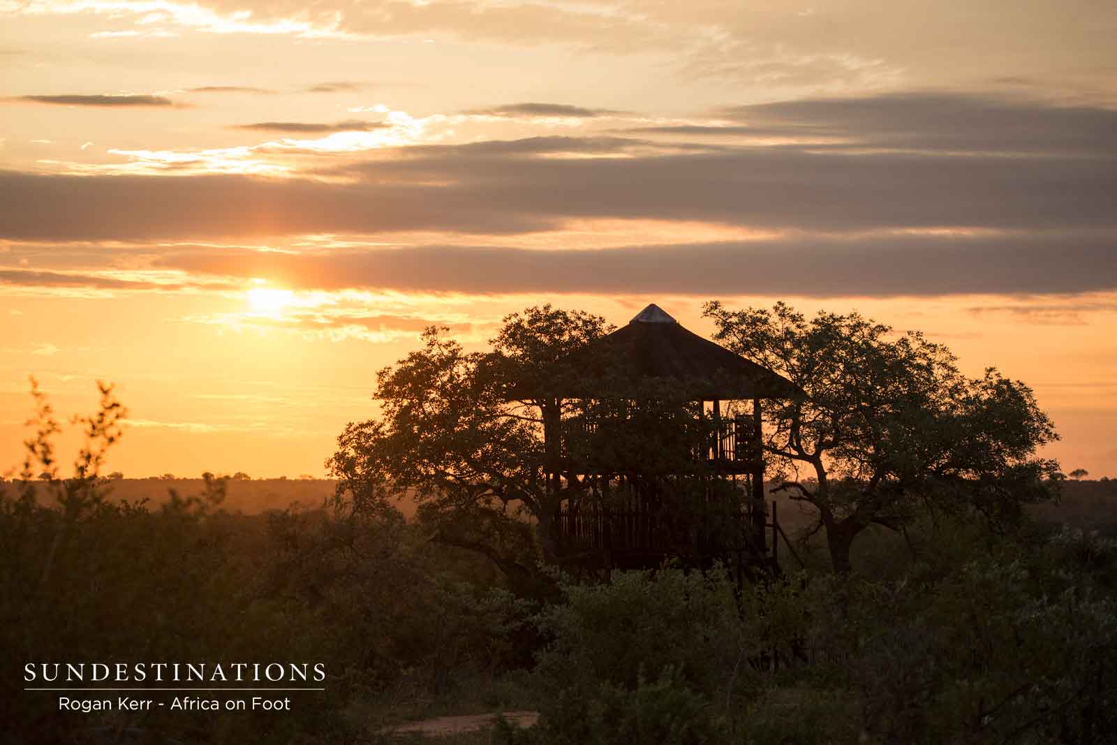 Africa on Foot Treehouse