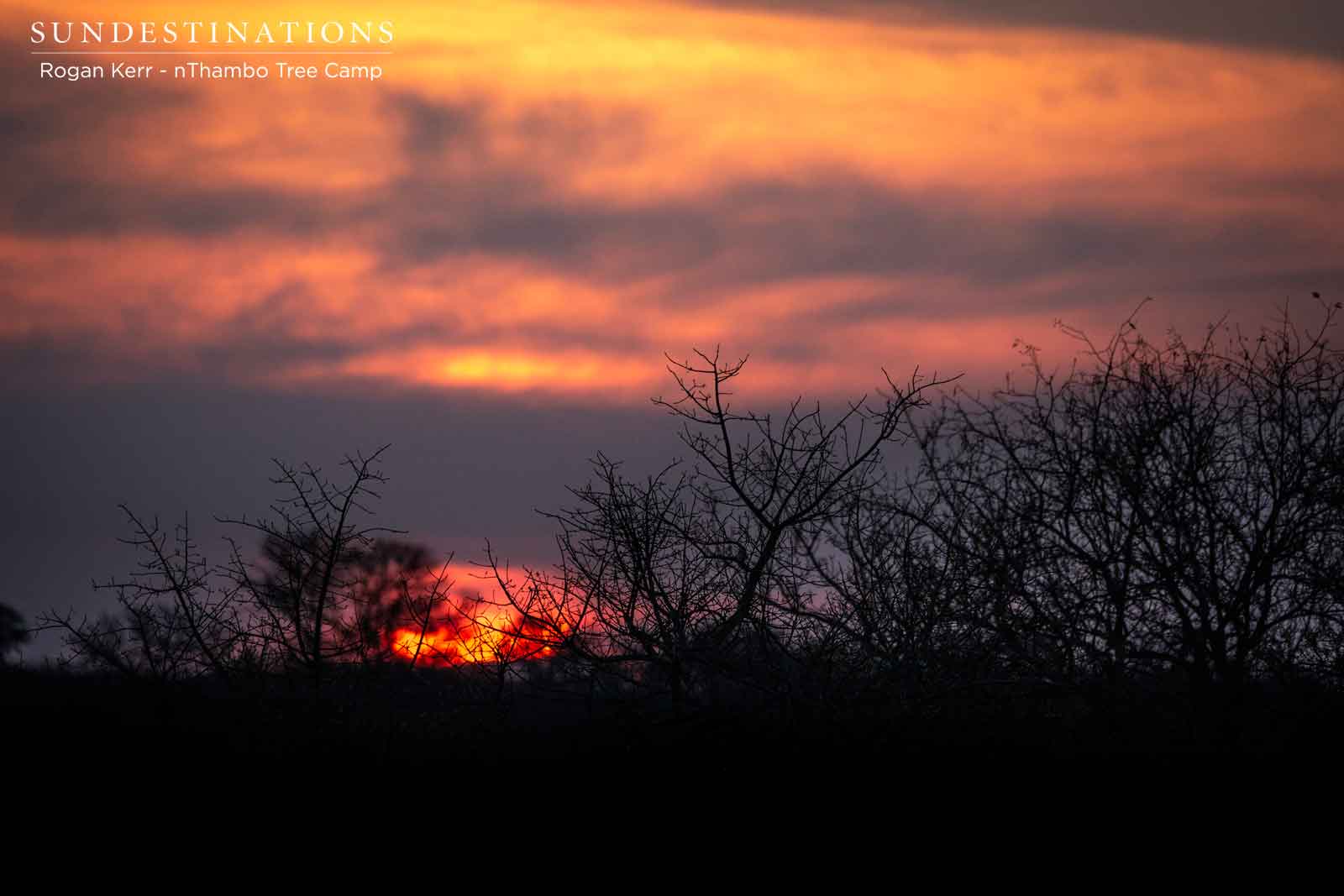Sunset at nThambo Tree Camp