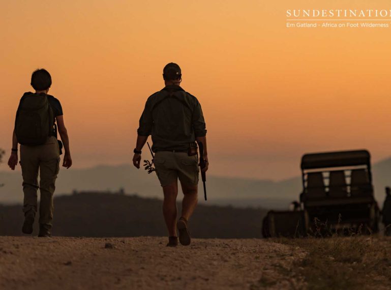 5 Reasons to go on a Kruger Walking Safari