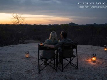 Chacma Bush Camp is a magical destination. It’s the birthplace of many a smitten couple. We’re not sure if that exquisite koppie behind the camp boasts special powers, but we know of a few loved up couples that have strengthened their bond while staying at Chacma. This intimate bush camp has been shot by Cupid’s […]
