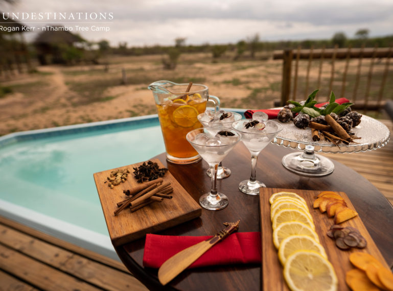 Original Spicy Cocktails and Yuletide Cheer in a Bushveld Setting