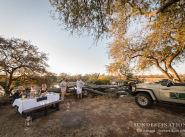 Walkers Bush Villa in the teeming Timbavati Game Reserve is the perfect family break. The villa is lavish, secluded and can be perfectly tailored to your family’s unique tastes and whims. The kids might be up and at ’em at the break of dawn, but mom and dad had hoped for a lie-in. No problem. […]