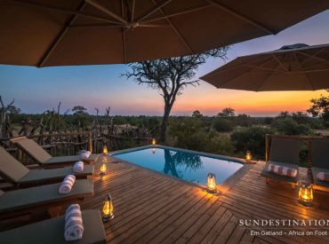 When the sizzling summer season is upon us and the African sun beats down on our lily white skin, we lap up the healthy dose of Vitamin D with glee. Summer has a vibe and it’s evident in the bushveld. The Kruger can get sweltering hot and escaping the heat is paramount to feeling comfortable […]