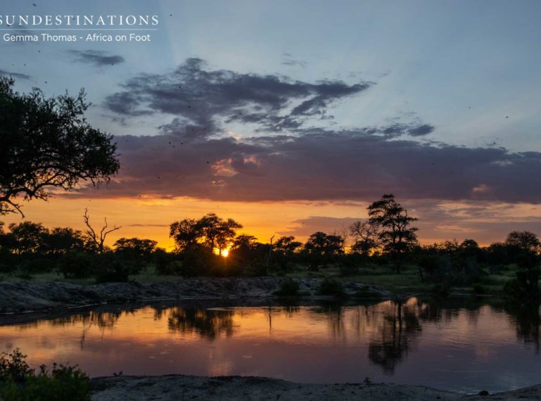 The Week in Pictures : Bless the Rains Down in Africa