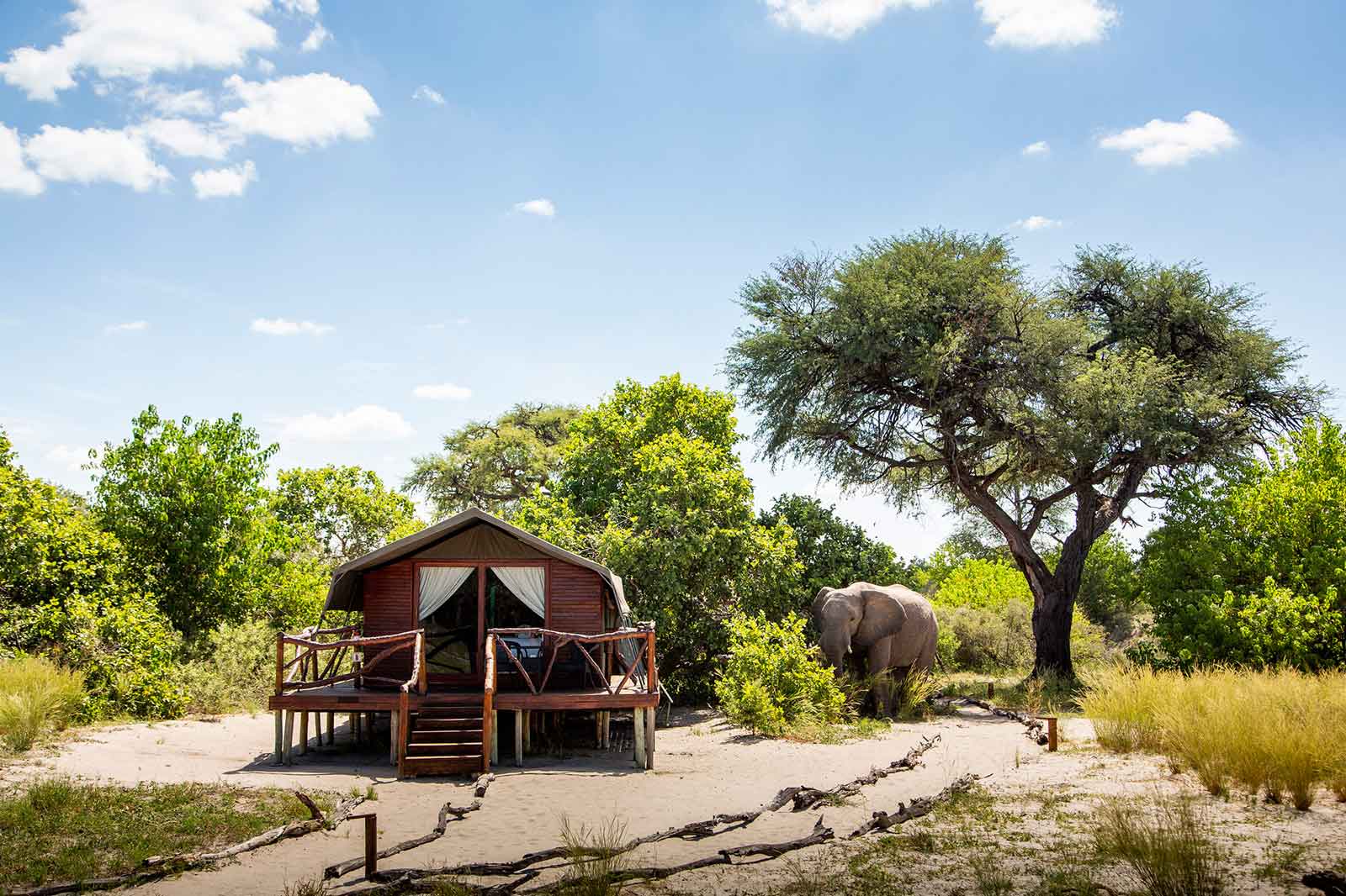 Accommodation Elephants at Camp Savuti