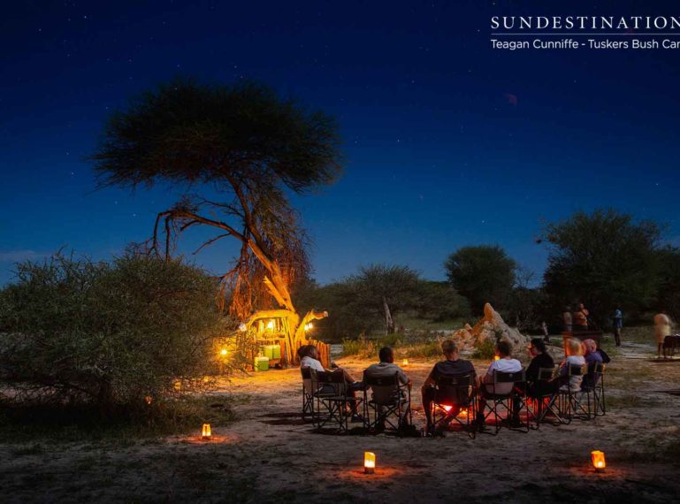Dinner Under a Blanket of Stars at Tuskers Bush Camp