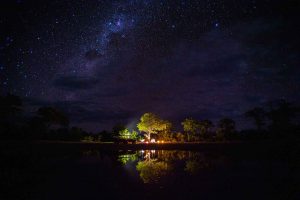 Motswiri Camp Under the Stars