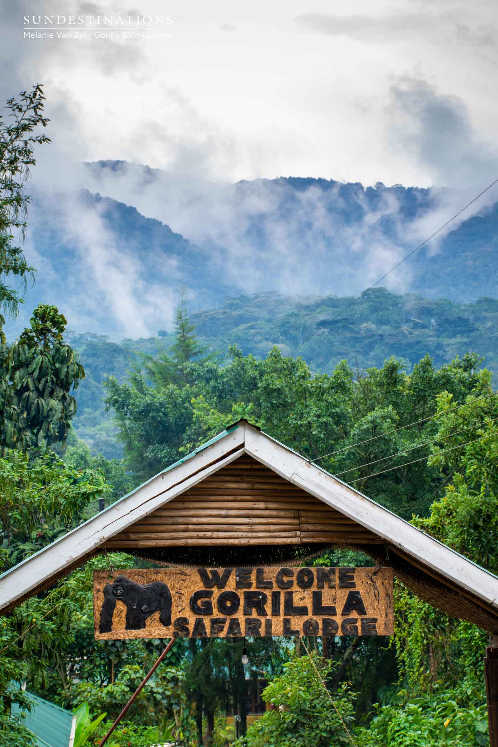 Gorilla Safari Lodge Conservation